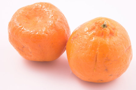 Two orangesの写真素材