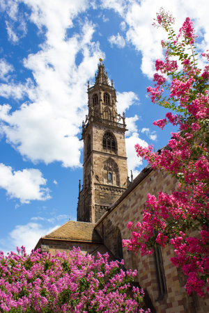 bell tower of the Cathedral of Bolzanoの写真素材