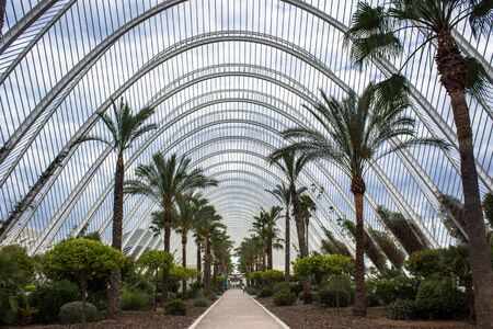 Valencia, gardensの写真素材