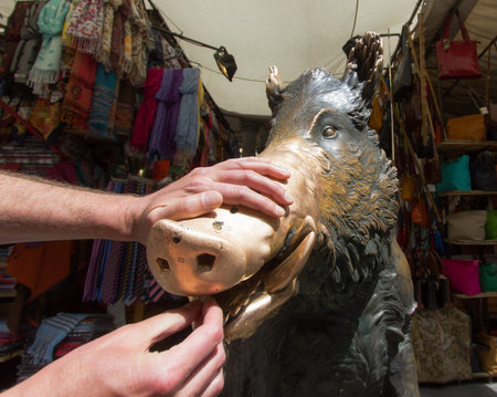 Florence, the statue of the Boarの写真素材