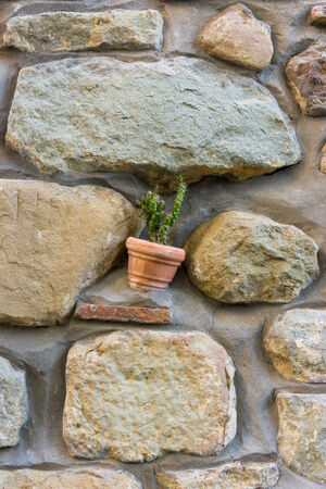 Pot with plantの写真素材