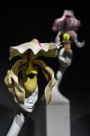 St. Petersburg, Russia - February 5, 2015: Exhibition of Philip Treacy "Hats in the 21st century. "のeditorial素材