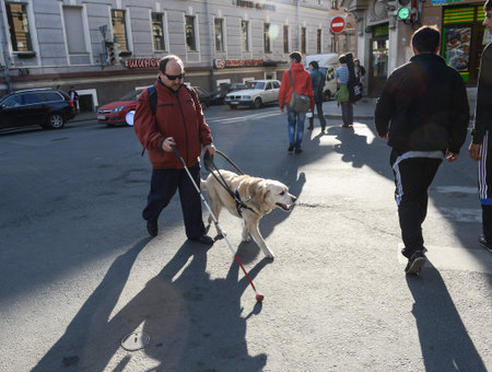 St. Petersburg, Russia - May 29, 2012: A blind man of 50 years during training walking around the city with the help of a guide dog breed Labrador on the main street.のeditorial素材