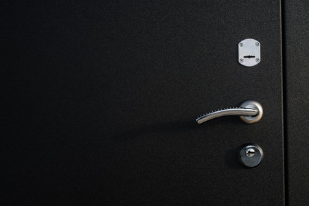 Metal apartment entrance door burglar sdelanaya by special technology. Door metal loop close-up...