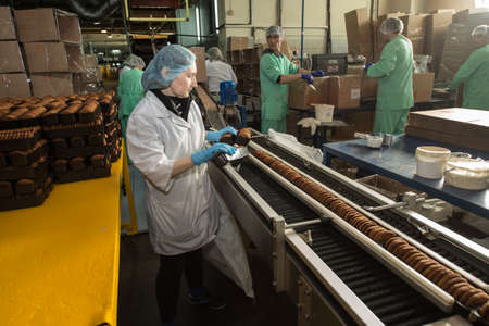 Leningrad region, Russia - February 14, 2017: The production line of confectionery factory "Beloved Land". Cookies on the assembly line.のeditorial素材