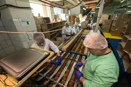 Leningrad region, Russia - February 14, 2017: The production line of confectionery factory "Beloved Land". Cookies on the assembly line.のeditorial素材