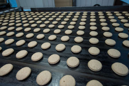 Leningrad region, Russia - February 14, 2017: The production line of confectionery factory "Beloved Land". Cookies on the assembly line.のeditorial素材