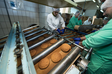 Leningrad region, Russia - February 14, 2017: The production line of confectionery factory "Beloved Land". Cookies on the assembly line.のeditorial素材