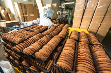 Leningrad region, Russia - February 14, 2017: The production line of confectionery factory "Beloved Land". Cookies on the assembly line.のeditorial素材