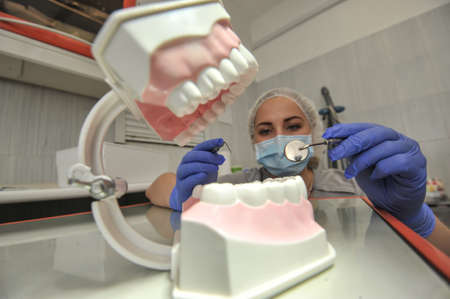 St. Petersburg, Russia - May 11, 2016: A young woman doctor dentist demonstrates in the clinic how to properly care for teeth. Model of the jaw.のeditorial素材