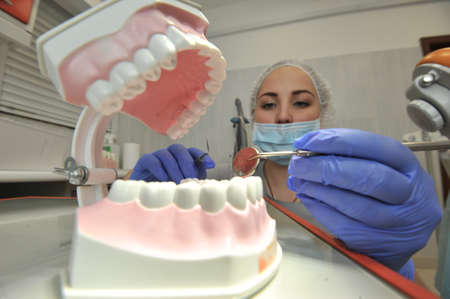 St. Petersburg, Russia - May 11, 2016: A young woman doctor dentist demonstrates in the clinic how to properly care for teeth. Model of the jaw.のeditorial素材