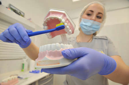St. Petersburg, Russia - May 11, 2016: A young woman doctor dentist demonstrates in the clinic how to properly care for teeth. Model of the jaw.のeditorial素材
