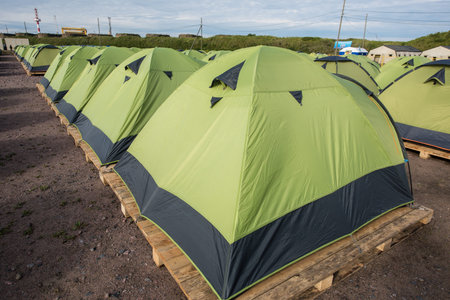 Green multi-purpose tourist tents on a sunny day are installed on wooden basesの写真素材