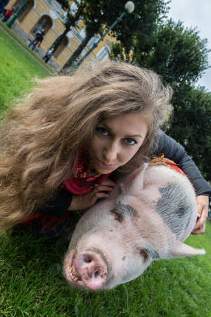 St. Petersburg, Russia - September 25, 2016: A woman is walking in the city park on the grass of a large mini pig.のeditorial素材