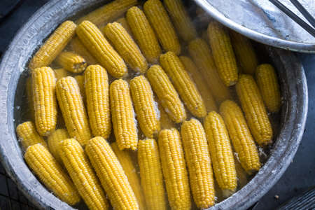In a large bowl, corn cobs are cookedの写真素材