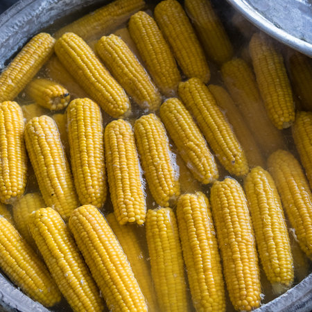 In a large bowl, corn cobs are cooked