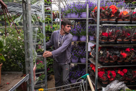 St. Petersburg, Russia - May 22, 2018: People buy flowers in pots with soil for transplanting them on their personal plots. On the shelves are many different varieties and plant species.のeditorial素材