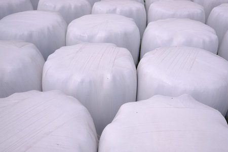 Hay packed in polyethylene PVC packaging lies on the field on green grass on a sunny summer day. The...