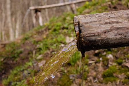 In a wooden gutter made of a log stream of cold water in a forest. Equipped spring. An old log covered in moss. Wild nature. Summer day in the shade and cool.の写真素材