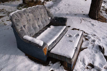 A dilapidated sofa covered in fresh snow in a pine forest. In an open form, blue, soft, a symbol of...