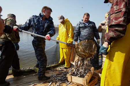 St. Petersburg, Russia - April 21, 2014: traditional spring fishing of smelt fish popular in the city. Fishermen, man boat, net, landing net, catch processのeditorial素材