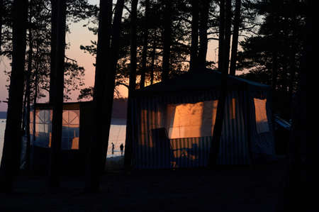 Closed fabric tent on the shores of the Gulf of Finland in a pine forest is beautifully illuminated by the setting sun. Serves as protection against mosquitoes and insects. Camping placeの写真素材