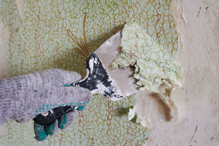 the process of removing old worn out unattractive green from the wall with the help of available tools and a spatula, hands, protective gloves.の写真素材