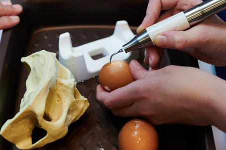 work with a piezo instrument in the educational process of bone processing