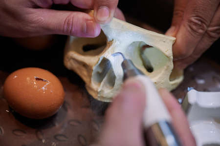 work with a piezo instrument in the educational process of bone processingの写真素材