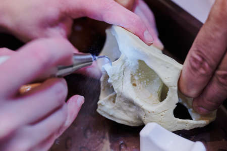 work with a piezo instrument in the educational process of bone processingの写真素材