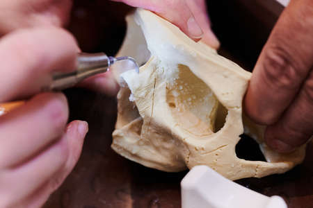 work with a piezo instrument in the educational process of bone processingの写真素材