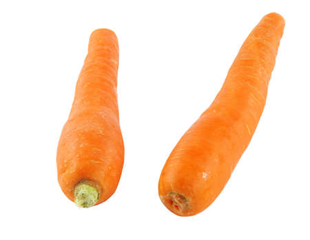 two fresh carrots isolated over whiteの写真素材