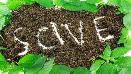 word save written on soil with leaves