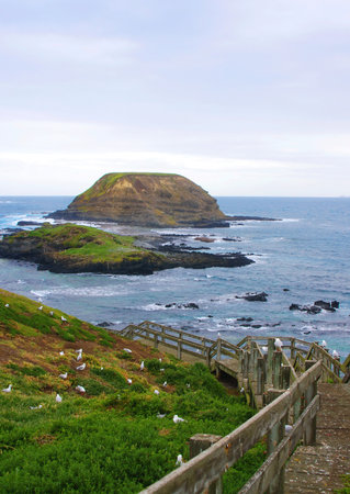 Australian coast at Phillip Island
