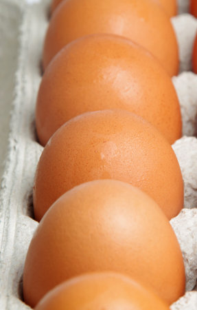 closeup of  eggs in the box