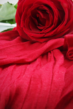 red rose with red fabric background.shallow dofの写真素材