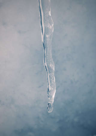 closeup of the icicle in winterの写真素材