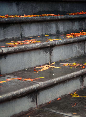 closeup of stairs with autumn leaves の写真素材