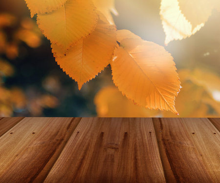 fall background with the wooden texture 