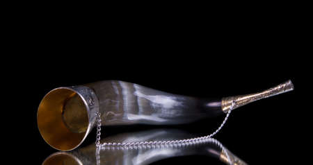 Georgian traditional horn for wine drinkingの写真素材