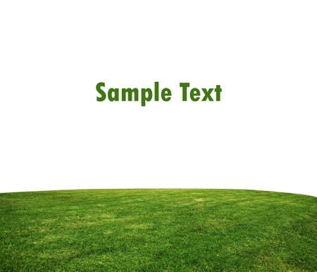 green grass lawn isolated on whiteの写真素材