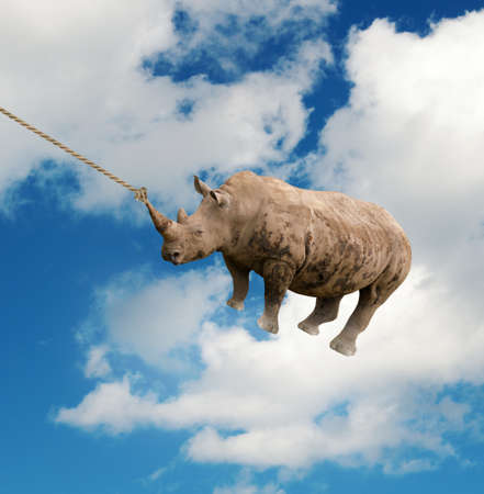 rhinoceros in the sky with ropeの写真素材
