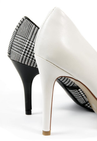 female elegant shoes on white