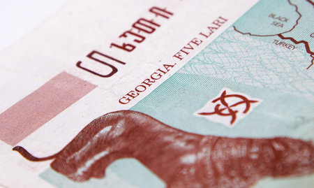 georgian money lari on white