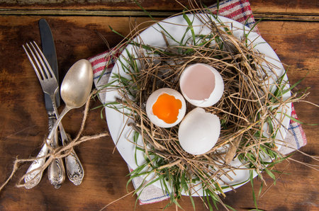 nest with the eggs on plateの写真素材