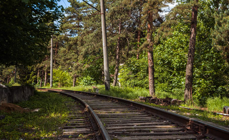 Old railway in the forestの写真素材