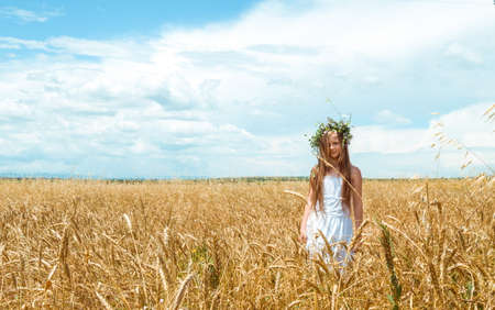 little girl in the wheat fieldの写真素材