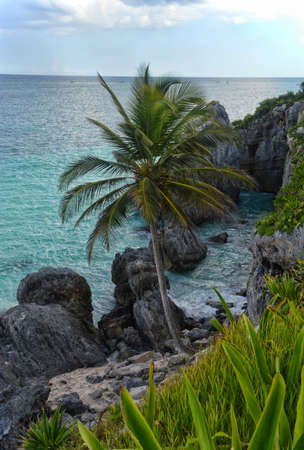 Beautiful view in Cancun,Mexicoの写真素材