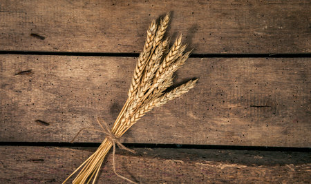 Wheat closeup on the tableの写真素材
