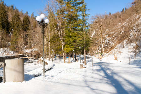 View on Borjomi park in Georgiaの写真素材
